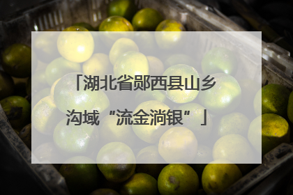 湖北省郧西县山乡沟域“流金淌银”