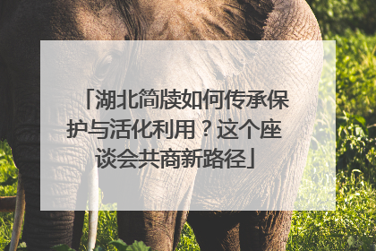 湖北简牍如何传承保护与活化利用？这个座谈会共商新路径