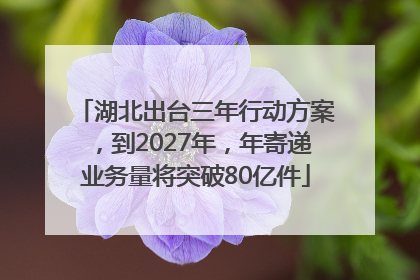 湖北出台三年行动方案，到2027年，年寄递业务量将突破80亿件