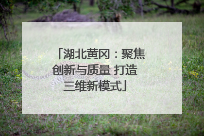 湖北黄冈：聚焦创新与质量 打造三维新模式