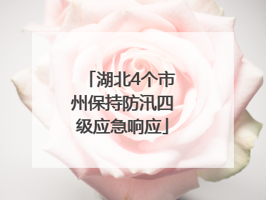 湖北4个市州保持防汛四级应急响应