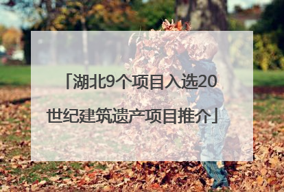 湖北9个项目入选20世纪建筑遗产项目推介
