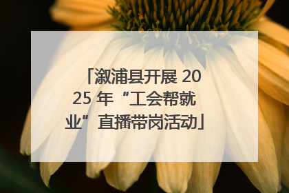 溆浦县开展 2025 年“工会帮就业”直播带岗活动