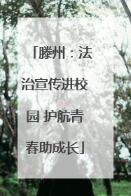 滕州：法治宣传进校园 护航青春助成长