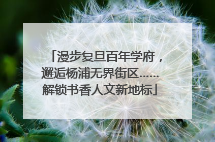 漫步复旦百年学府，邂逅杨浦无界街区……解锁书香人文新地标