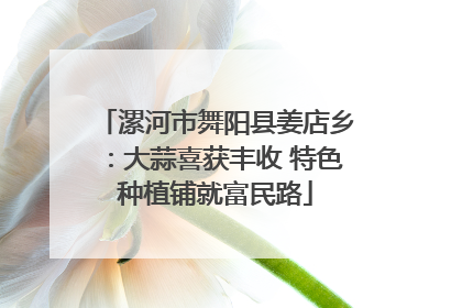 漯河市舞阳县姜店乡：大蒜喜获丰收 特色种植铺就富民路