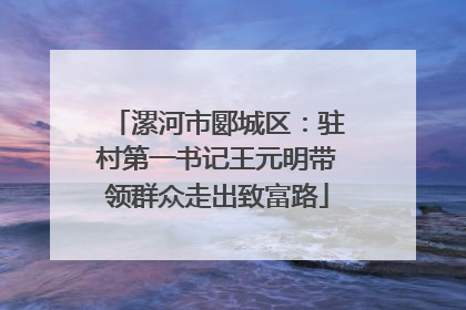 漯河市郾城区：驻村第一书记王元明带领群众走出致富路