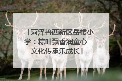 菏泽鲁西新区岳楼小学：粽叶飘香润童心 文化传承乐成长