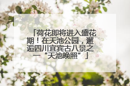 荷花即将进入盛花期！在天池公园，邂逅四川宜宾古八景之一“天池晚照”
