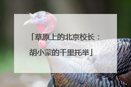 草原上的北京校长：胡小蒙的千里托举