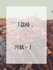 荔枝，开炫～