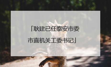 耿建已任泰安市委市直机关工委书记