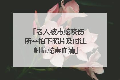 老人被毒蛇咬伤 所幸拍下照片及时注射抗蛇毒血清
