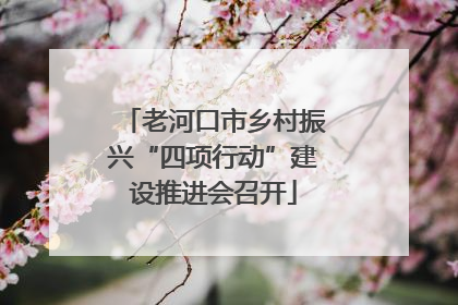 老河口市乡村振兴“四项行动”建设推进会召开
