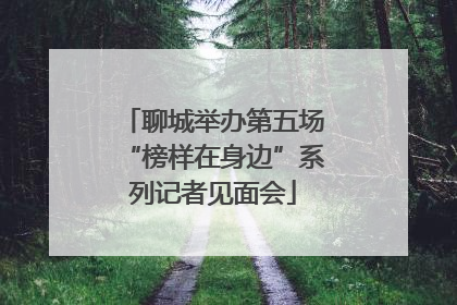 聊城举办第五场“榜样在身边”系列记者见面会