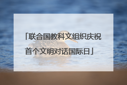 联合国教科文组织庆祝首个文明对话国际日