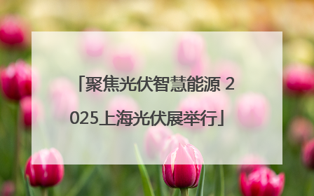 聚焦光伏智慧能源 2025上海光伏展举行