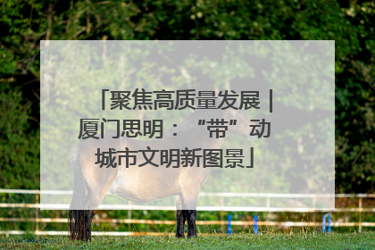聚焦高质量发展｜厦门思明：“带”动城市文明新图景