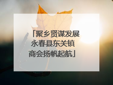 聚乡贤谋发展 永春县东关镇商会扬帆起航