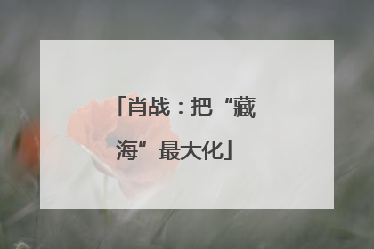 肖战：把“藏海”最大化