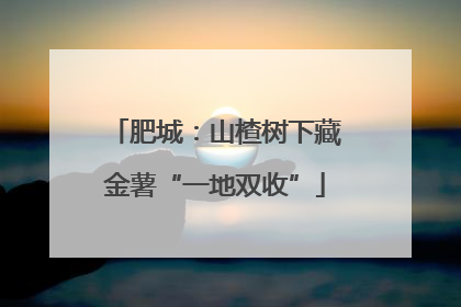 肥城：山楂树下藏金薯“一地双收”