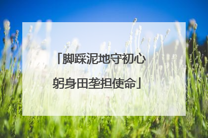 脚踩泥地守初心 躬身田垄担使命