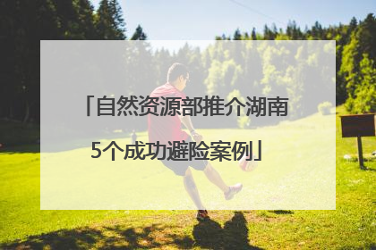 自然资源部推介湖南5个成功避险案例