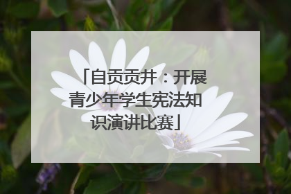 自贡贡井：开展青少年学生宪法知识演讲比赛