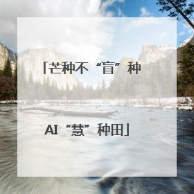 芒种不“盲”种 AI“慧”种田