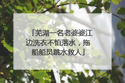 芜湖一名老婆婆江边洗衣不慎落水，拖船船员跳水救人