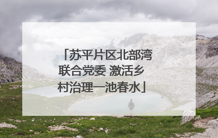 苏平片区北部湾联合党委 激活乡村治理一池春水