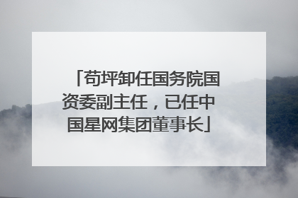 苟坪卸任国务院国资委副主任，已任中国星网集团董事长