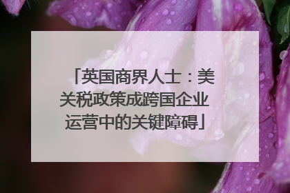 英国商界人士：美关税政策成跨国企业运营中的关键障碍