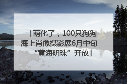 萌化了，100只狗狗海上肖像摄影展6月中旬“黄海明珠”开放