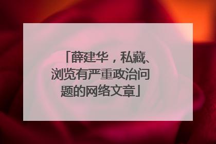 薛建华，私藏、浏览有严重政治问题的网络文章