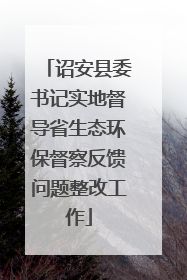 诏安县委书记实地督导省生态环保督察反馈问题整改工作