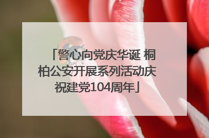 警心向党庆华诞 桐柏公安开展系列活动庆祝建党104周年