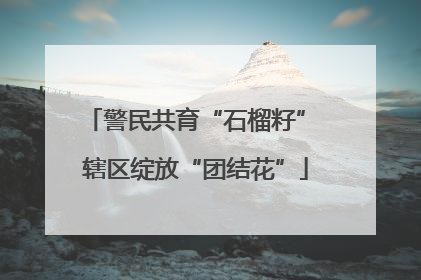 警民共育“石榴籽” 辖区绽放“团结花”