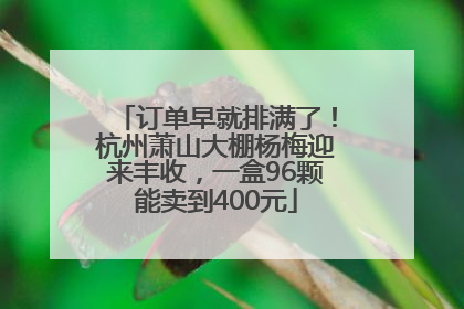 订单早就排满了！杭州萧山大棚杨梅迎来丰收，一盒96颗能卖到400元