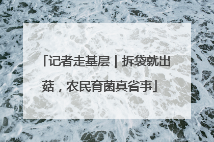 记者走基层｜拆袋就出菇，农民育菌真省事