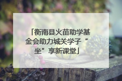 衡南县火苗助学基金会助力城关学子“坐”享新课堂