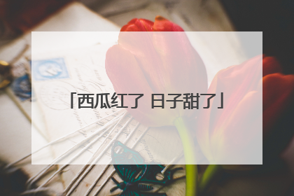 西瓜红了 日子甜了