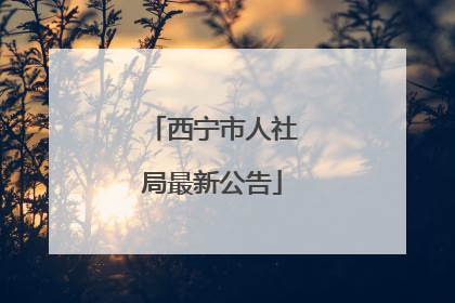 西宁市人社局最新公告
