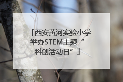 西安黄河实验小学举办STEM主题“科创活动日”