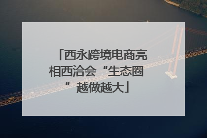 西永跨境电商亮相西洽会“生态圈”越做越大