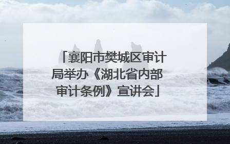 襄阳市樊城区审计局举办《湖北省内部审计条例》宣讲会