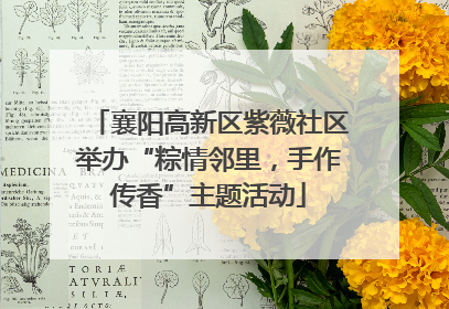 襄阳高新区紫薇社区举办“粽情邻里，手作传香”主题活动