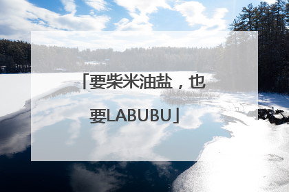 要柴米油盐，也要LABUBU