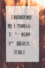 观潮的螃蟹丨雪峰山下“一粒种子”撬动大文旅