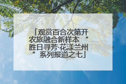 观赏百合次第开 农旅融合新样本 “胜日寻芳·花漾兰州”系列报道之七